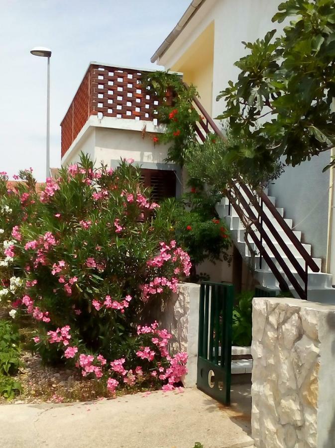Apartments Orlic Povljana Exterior foto
